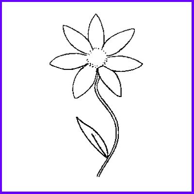 You can order Single Stem Daisy was £8.50