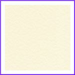 Order Hammered Cream
