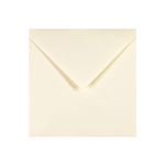 Order Card 6 Cream Envelope 152 x 152mm / 5.98 x 5.98