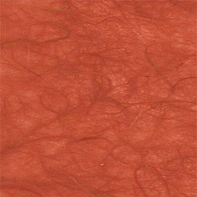 You can order Rust Mulberry Silk Paper