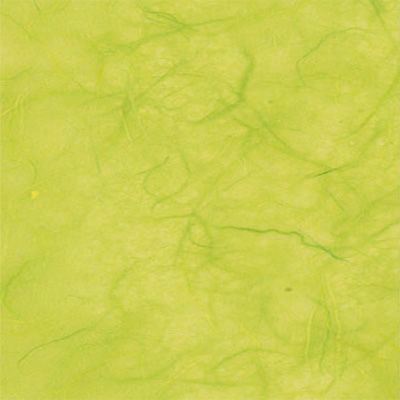 You can order Lime Green Mulberry Silk Paper