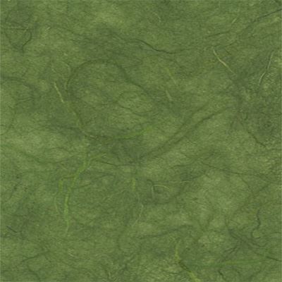 You can order Moss Olive Green Mulberry Silk Paper