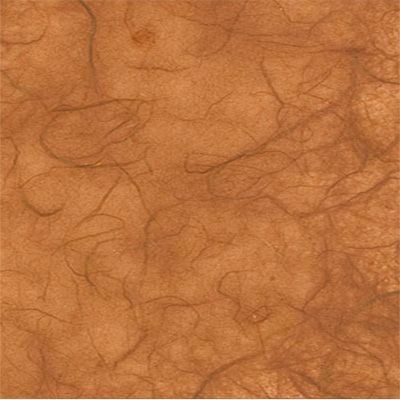 You can order Brandy Mulberry Silk Paper