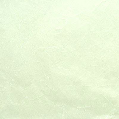 You can order Pale Green Mulberry Silk Paper